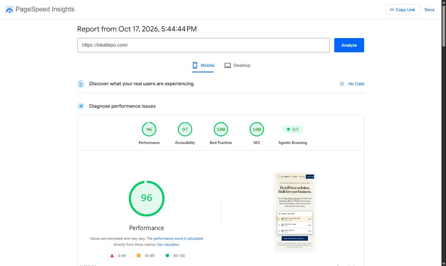 Google PageSpeed Insights mobile report for lokaltayo.com, recorded October 17, 2026: performance 96 and SEO 100